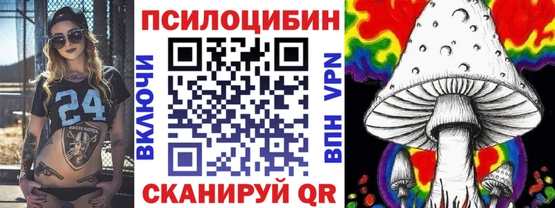 Галлюциногенные грибы Psilocybe  Купить где  Кольчугино 